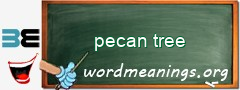 WordMeaning blackboard for pecan tree